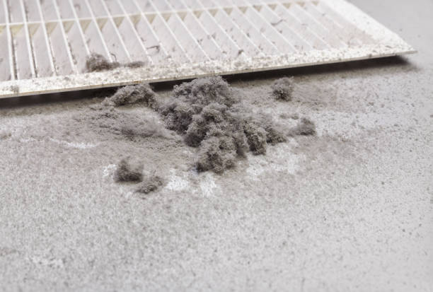 Professional Airduct Cleaning in Nolensville, TN